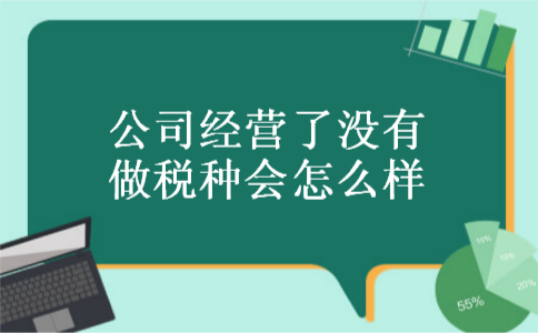 公司经营了没有做税种会怎么样