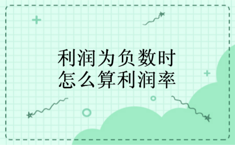 利润为负数时怎么算利润率 利润为负数时怎么算利润率