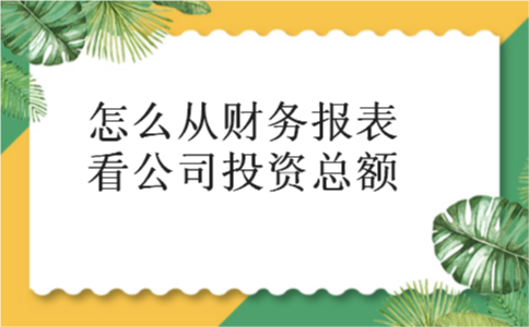 怎么从财务报表看公司投资总额