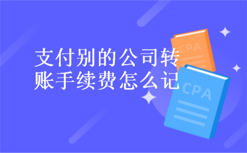 支付别的公司转账手续费怎么记