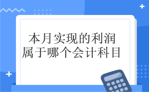 本月实现的利润属于哪个会计科目