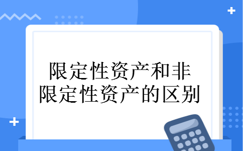 限定性资产和非限定性资产的区别 限定性资产和非限定性资产的区别