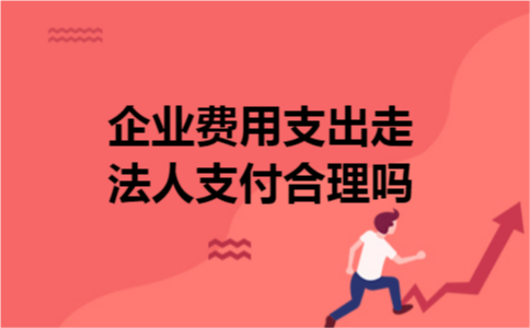 企业费用支出走法人支付合理吗 企业费用支出走法人支付合理吗