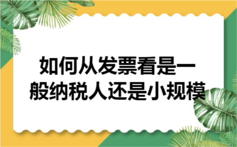 如何从发票看是一般纳税人还是小规模