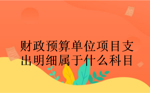 财政预算单位项目支出明细属于什么科目