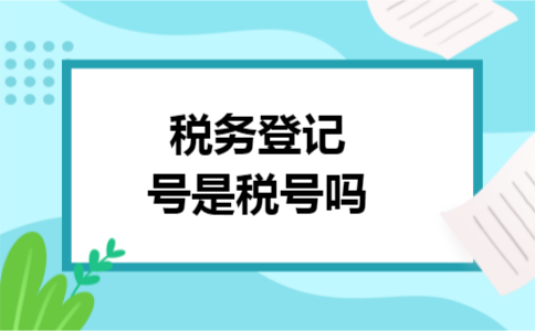 税务登记号是税号吗