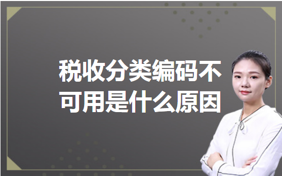 税收分类编码不可用是什么原因