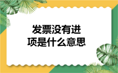 发票没有进项是什么意思 发票没有进项是什么意思