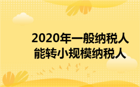 2020年一般纳税人能转小规模纳税人