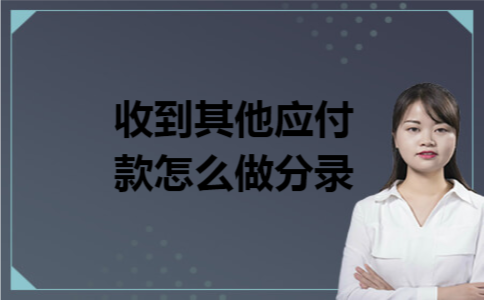  收到其他应付款怎么做分录