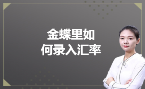 金蝶里如何录入汇率