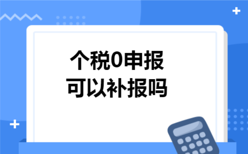 个税0申报可以补报吗