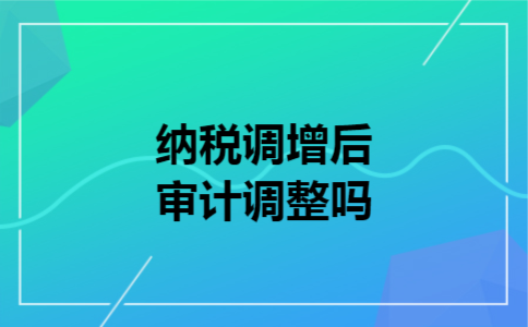  纳税调增后审计调整吗