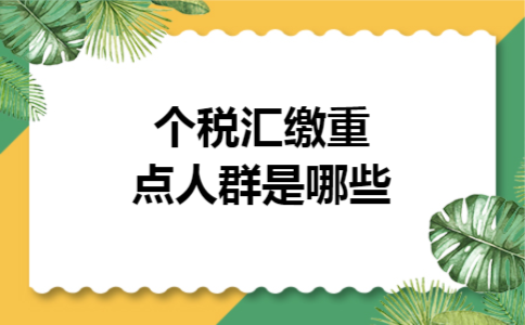 个税汇缴重点人群是哪些