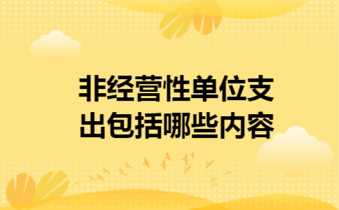 非经营性单位支出包括哪些内容