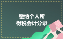 缴纳个人所得税会计分录
