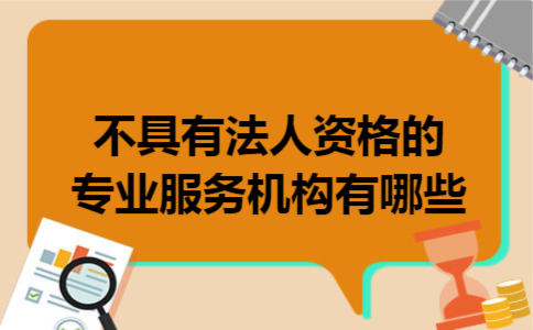 不具有法人资格的专业服务机构有哪些