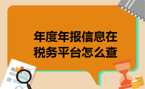年度年报信息在税务平台怎么查