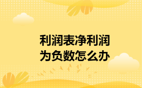利润表净利润为负数怎么办