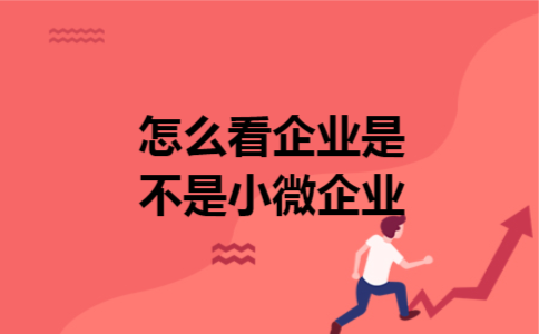 怎么看企业是不是小微企业