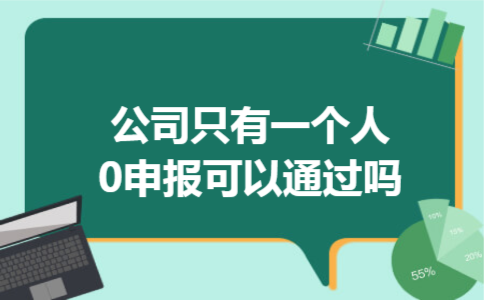 公司只有一个人0申报可以通过吗