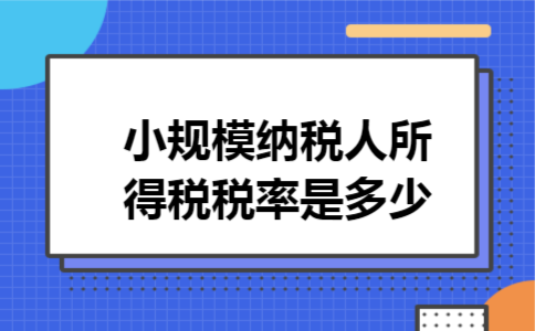小规模纳税人所得税税率是多少
